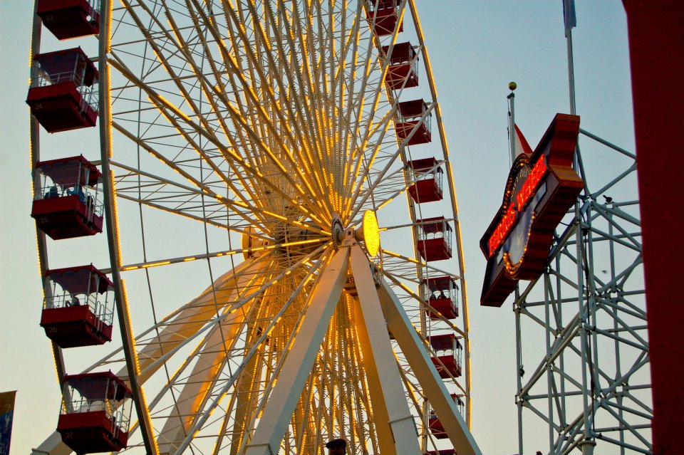 Navy Wheel